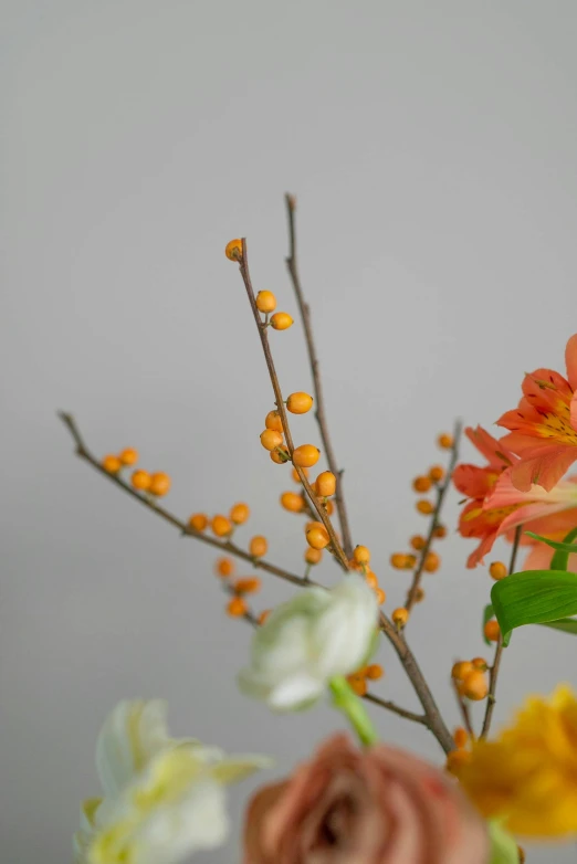 a close up of a vase with flowers in it, grey orange, branching, shades of gold display naturally, cherry blossums