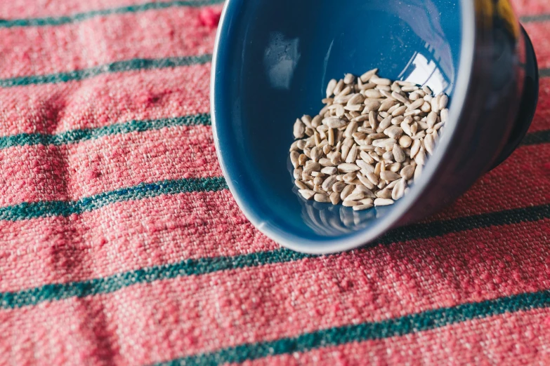 a blue bowl filled with sunflower seeds, by Emma Andijewska, trending on unsplash, on a sumptuous tablecloth, lined in cotton, hemp, in a red dish