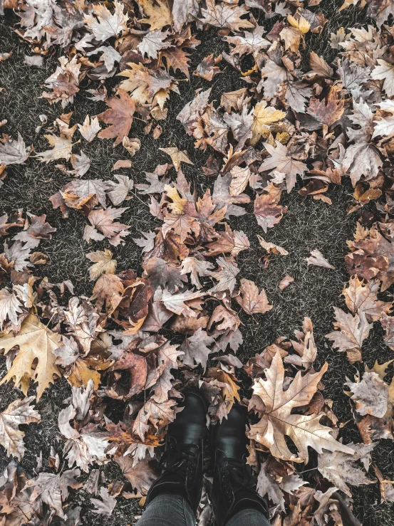 a person standing in front of a pile of leaves, trending on unsplash, pov photo, wears brown boots, seasons!! : 🌸 ☀ 🍂 ❄, highly detailed # no filter