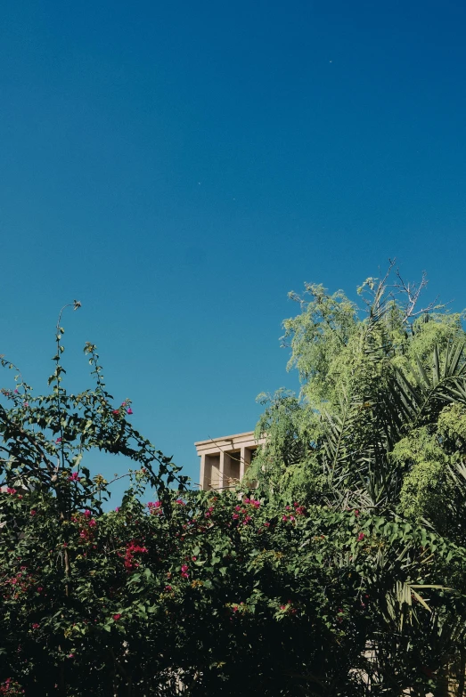 a clock that is on the side of a building, an album cover, inspired by Ricardo Bofill, unsplash, renaissance, on a planet of lush foliage, marrakech, clear blue sky, ancient greek temple