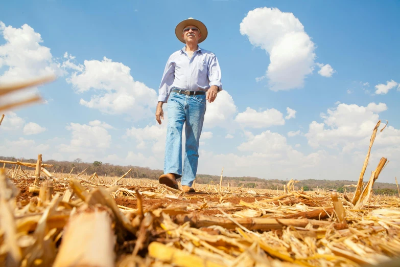 a man standing in the middle of a corn field, juan caloto, avatar image