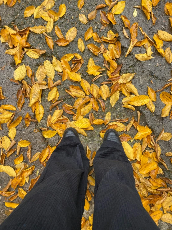 a person standing in front of a pile of leaves, inspired by Andy Goldsworthy, trending on unsplash, real human feet, yellow colours, wide high angle view, low quality photo