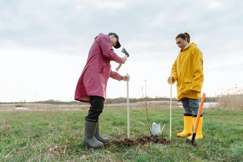 a couple of people that are standing in the grass, digging, props containing trees, climate change, profile image