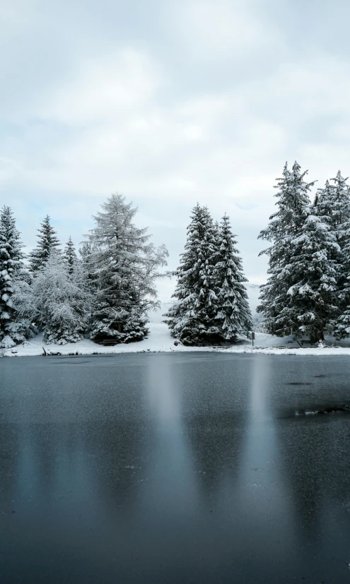 a body of water surrounded by trees covered in snow, by Karl Gerstner, switzerland, crystal lake, panoramic, shot on sony a 7