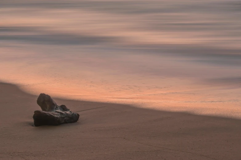 a pair of shoes sitting on top of a sandy beach, unsplash contest winner, australian tonalism, at gentle dawn pink light, driftwood sculpture, long exposure 8 k, photo of crocodile