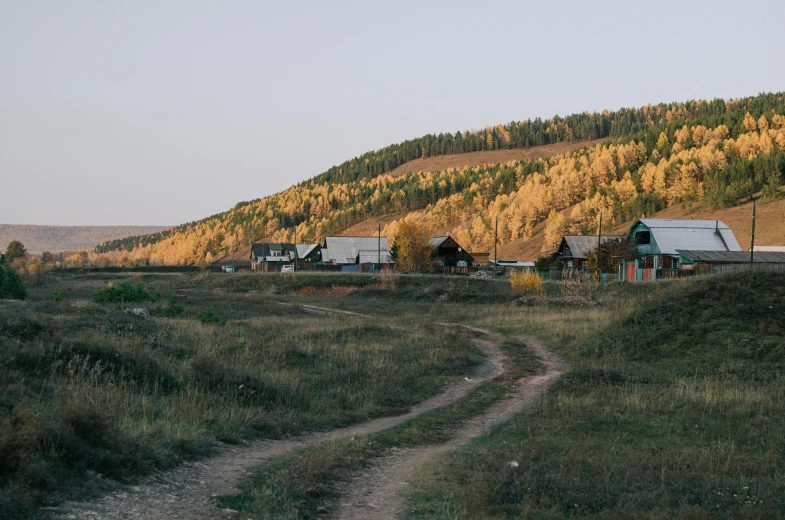 a dirt road running through a grass covered field, an album cover, inspired by Konstantin Vasilyev, unsplash, les nabis, log houses built on hills, autumn light, 000 — википедия, russian city