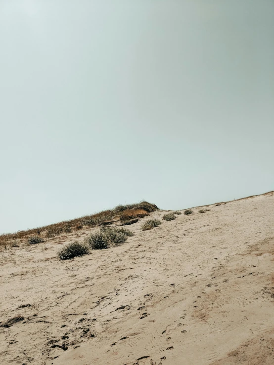 a man flying a kite on top of a sandy beach, an album cover, unsplash, postminimalism, with soft bushes, photo from the dig site, low quality footage, background image