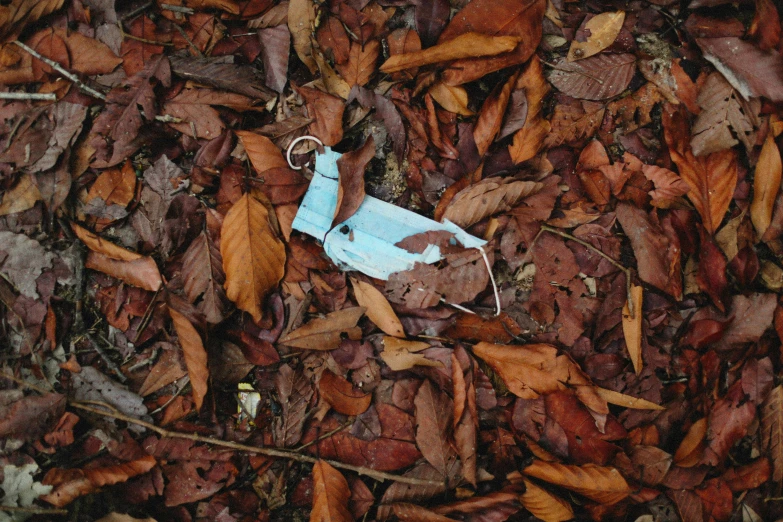 a pair of scissors sitting on top of a pile of leaves, by Elsa Bleda, pexels contest winner, environmental art, broken mask, bags on ground, thumbnail, brown