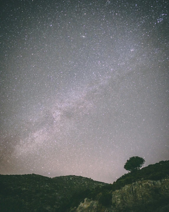 a tree sitting on top of a hill under a night sky, in the distance, during the night