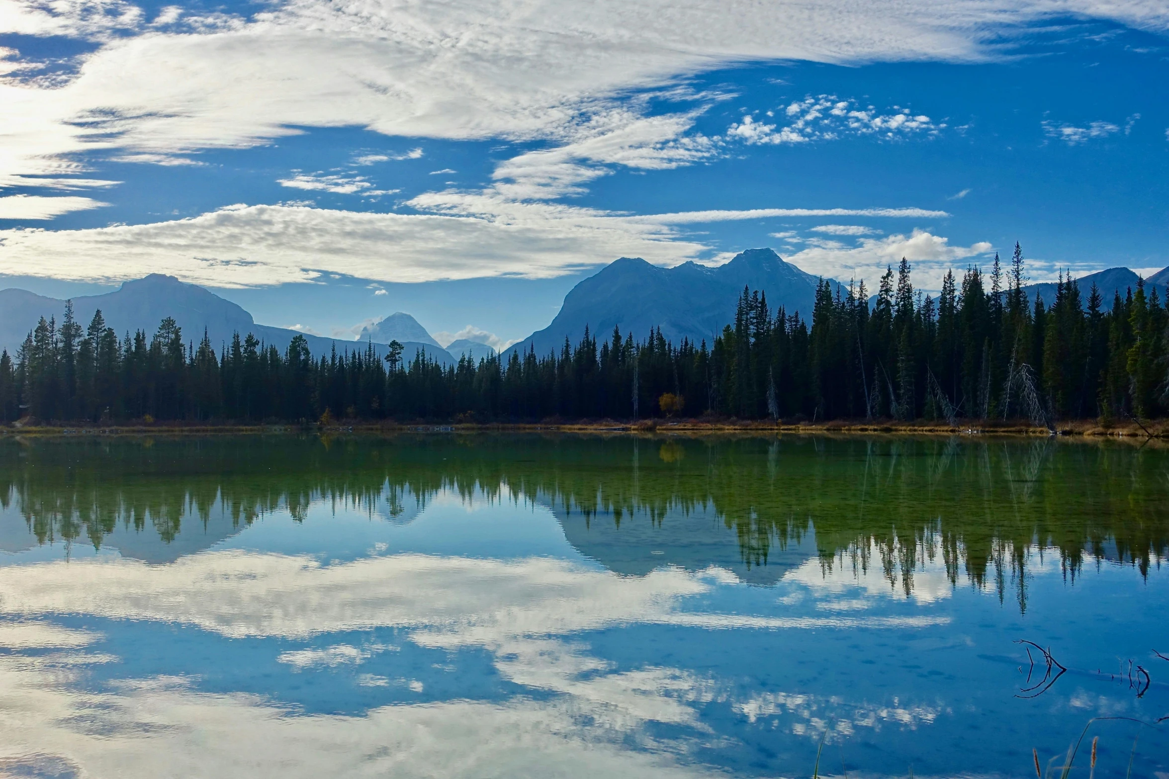 a body of water surrounded by trees and mountains, big sky, banff national park, amazingly composed image, fan favorite