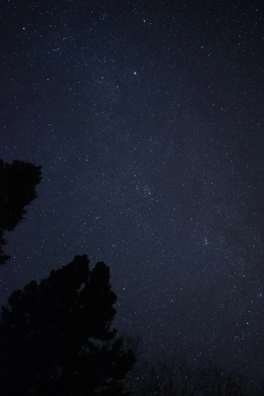 a night sky filled with lots of stars, by Jessie Algie, unsplash, dark pine trees, low quality photo, rectangle, andromeda