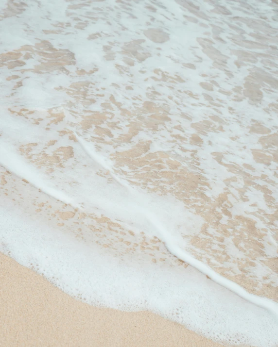 a bird standing on top of a beach next to the ocean, white water, profile image, sand swirling, a close up shot