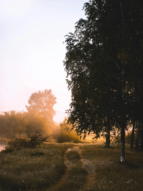 a dirt road next to a body of water, by Attila Meszlenyi, pexels contest winner, romanticism, summer morning light, trees outside, light haze, today\'s featured photograph 4k