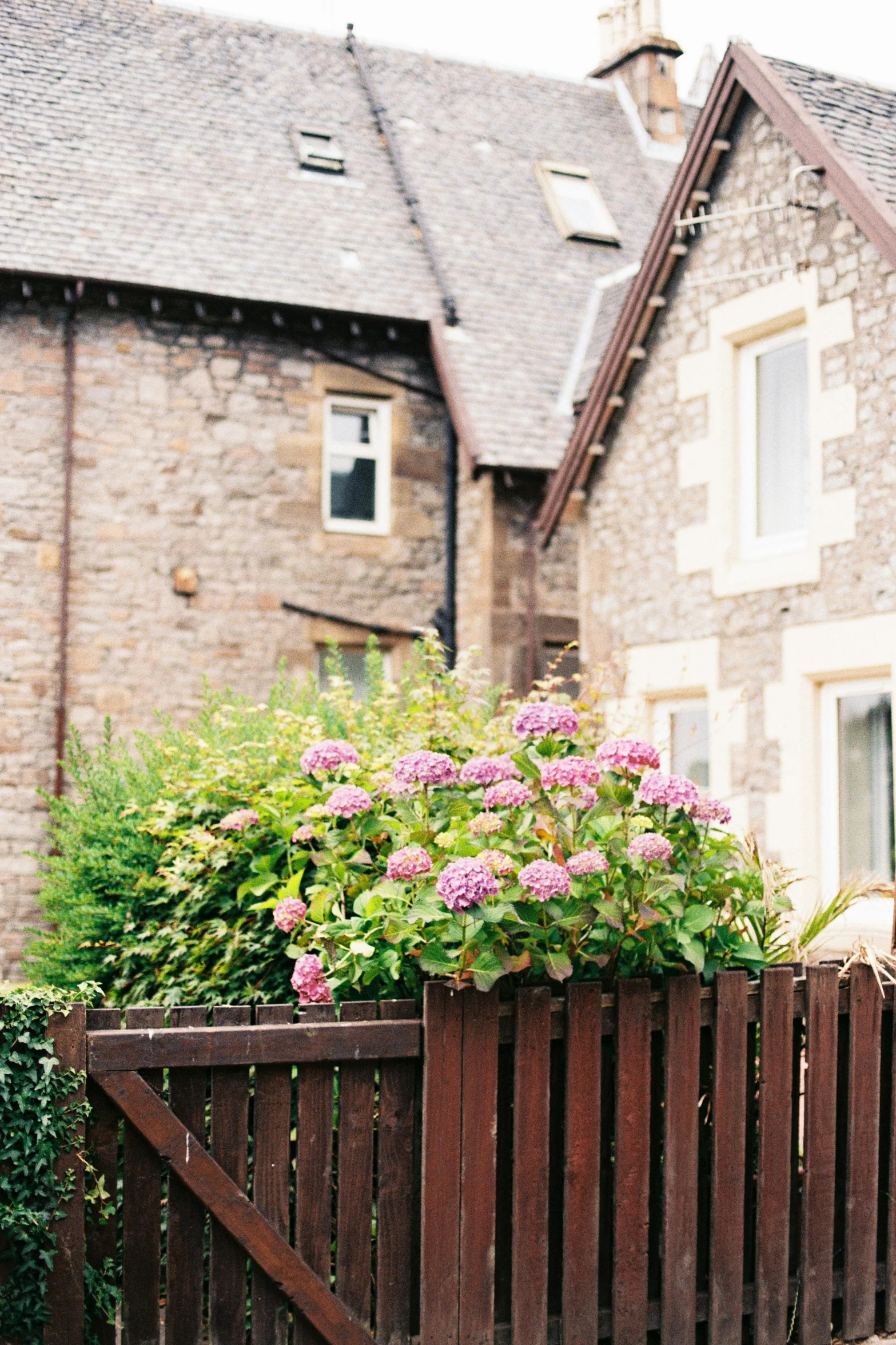 a woman sitting on a bench in front of a house, inspired by Thomas Struth, unsplash, arts and crafts movement, scotland, pink flowers, exterior view, kodak portra 400