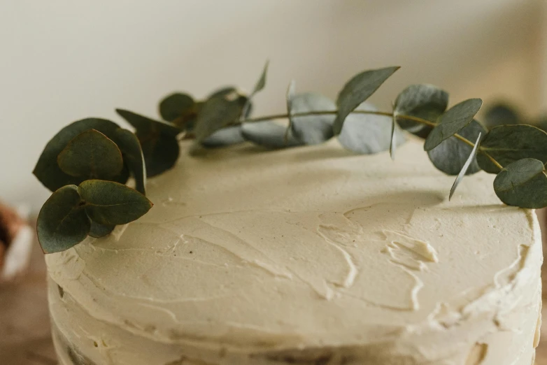 a cake sitting on top of a wooden table, trending on pexels, eucalyptus, beige cream natural muted tones, background image, amanda lilleston