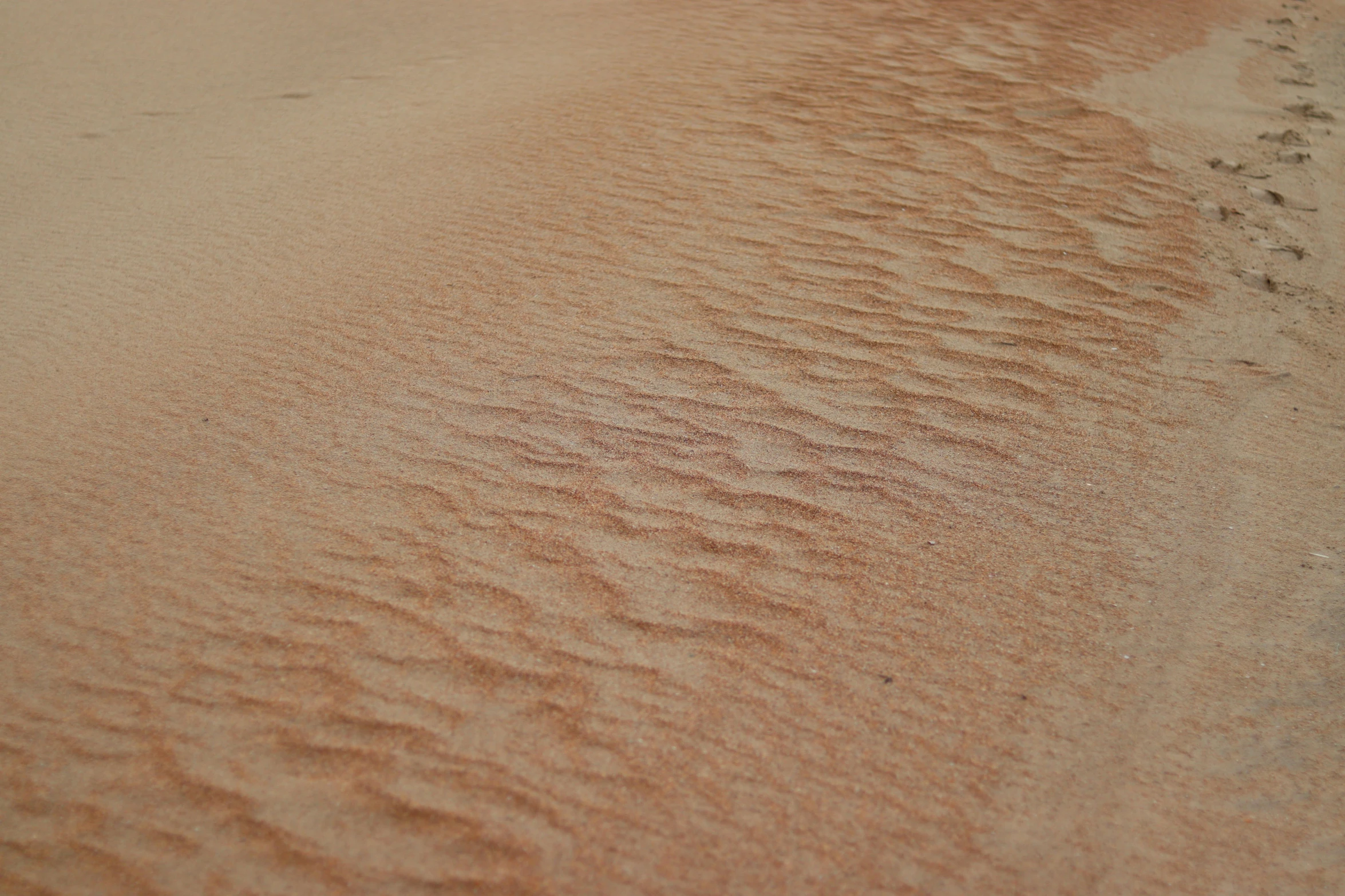 a sandy beach with footprints in the sand, by Charlotte Harding, pexels contest winner, hurufiyya, soft red texture, gradient brown to white, 4 k detail, sandstone