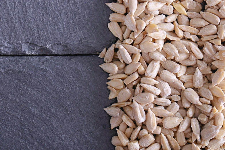 a close up of a pile of sunflower seeds, an album cover, trending on pexels, background image, slate, mediterranean, no - text no - logo