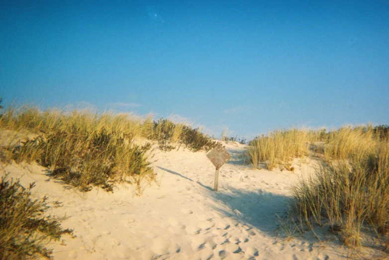 a white frisbee sitting on top of a sandy beach, an album cover, unsplash, land art, new jersey, dunes, fuji superia, road to the sea