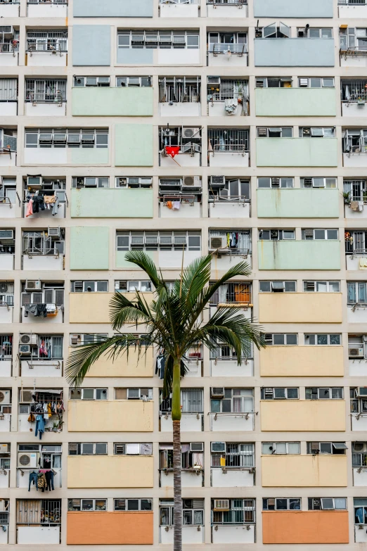 a tall building with a palm tree in front of it, by Tobias Stimmer, unsplash contest winner, kowloon walled city, thousands of tiny onlookers, freddy mamani silvestre facade, colours