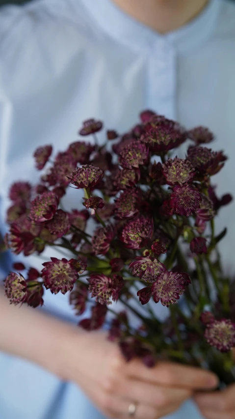 a woman holding a bunch of purple flowers, a macro photograph, digital image, maroon metallic accents, detail shot, coxcomb