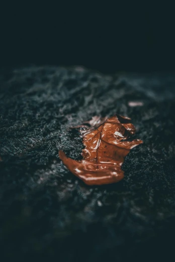 a piece of chocolate sitting on top of a black surface, by Thomas Wijck, unsplash contest winner, oil spill, found in a cave made of clay, orange and brown leaves for hair, slightly pixelated