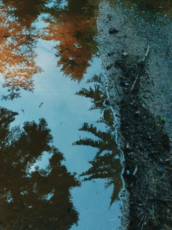 a puddle of water with trees reflected in it, an album cover, inspired by Elsa Bleda, unsplash contest winner, photorealism, blue and orange tones, taken on iphone 1 3 pro, view from below, hyper realist