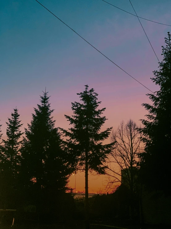 a man riding a skateboard up the side of a ramp, an album cover, inspired by Elsa Bleda, aestheticism, ((trees)), sunset panorama, 🌲🌌, pacific northwest