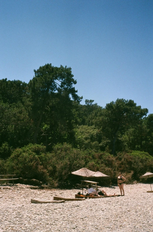 a group of people standing on top of a sandy beach, pine forests, parasols, 1997 ), panoramic