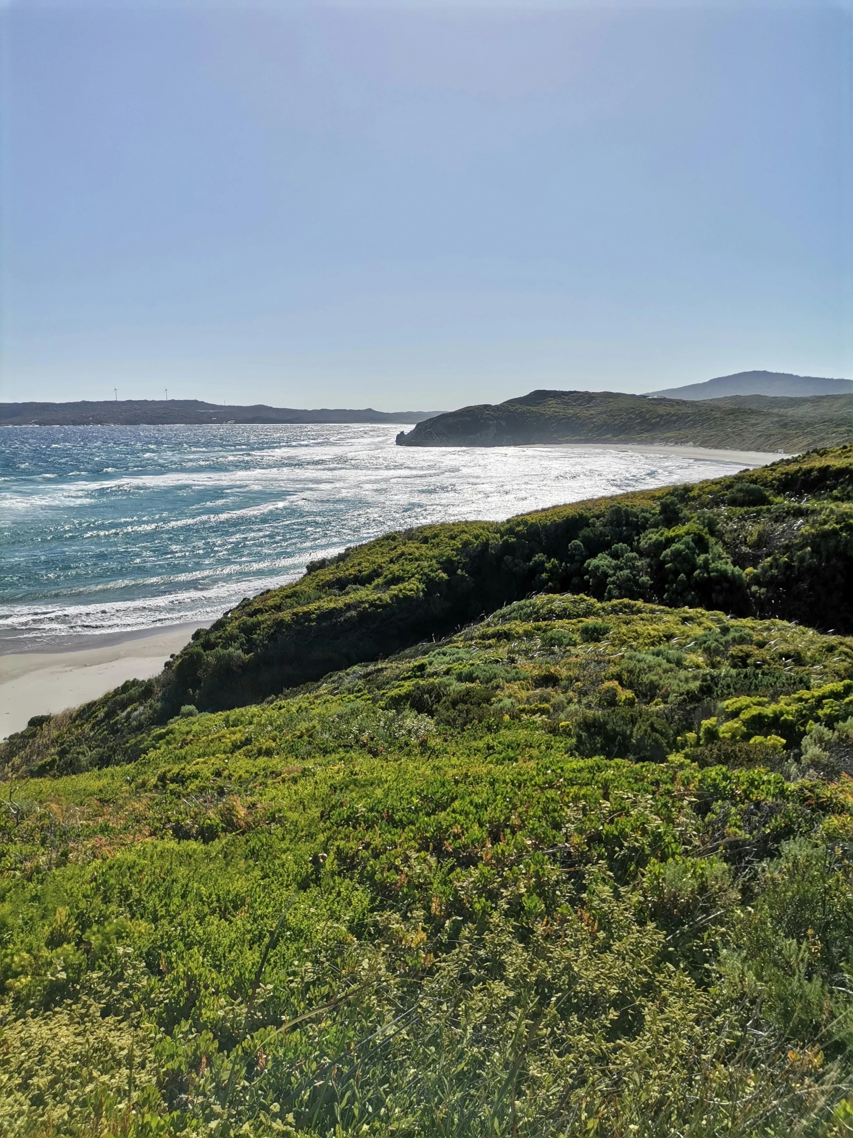 a large body of water sitting on top of a lush green hillside, an album cover, inspired by William Trost Richards, unsplash, australian beach, dunes, eucalyptus, chile