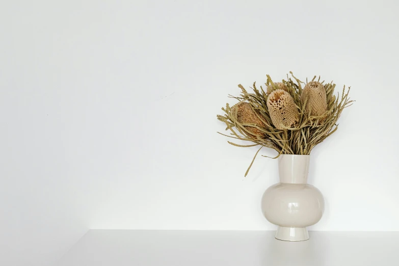 a white vase with dried plants in it, trending on unsplash, background image, miscellaneous objects, bouquets, photorender