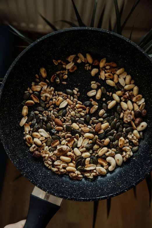 a frying pan filled with nuts and seeds, by Julia Pishtar, ground - level medium shot, slate, premium, multiple stories