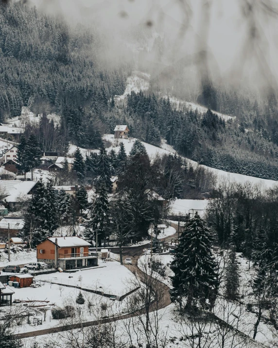 a small village in the mountains covered in snow, a photo, pexels contest winner, renaissance, pine trees in the background, 70s photo, trending on vsco, lush surroundings