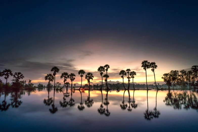 a large body of water surrounded by palm trees, a picture, by Patrick Ching, art photography, floating trees, during dawn, lpoty, futuristic phnom-penh cambodia