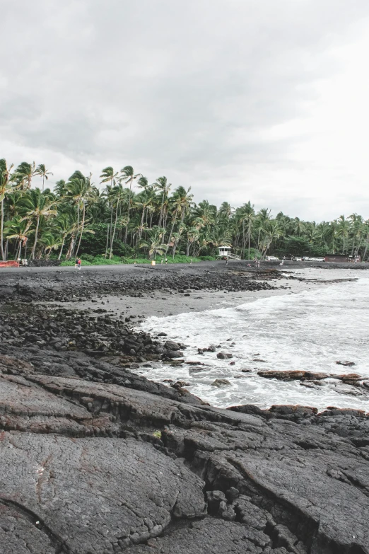 a red fire hydrant sitting on top of a rocky beach, coconut palms, black volcano afar, black sand, fishing