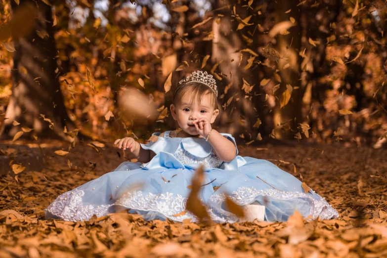 a little girl wearing a tiara sitting in the leaves, pixabay contest winner, thumbnail, pregnancy, sky blue, falling leaves