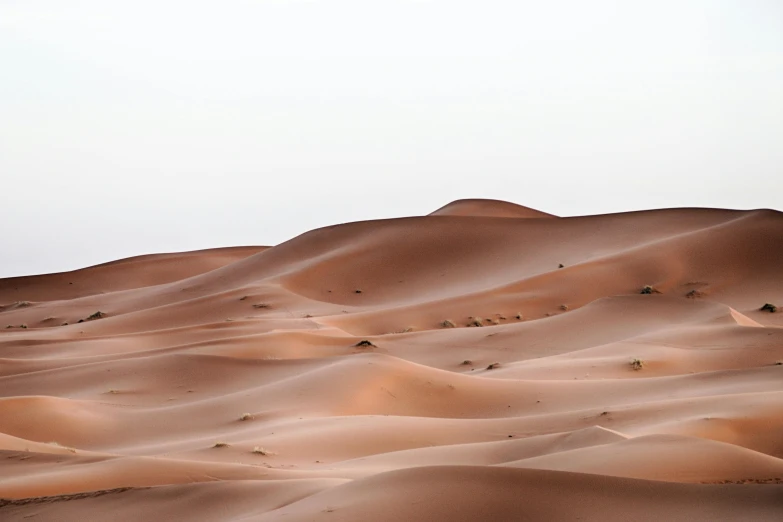 a person riding a horse in the desert, an album cover, unsplash contest winner, arabesque, flowing salmon-colored silk, barren earth, erosion algorithm landscape, moroccan city