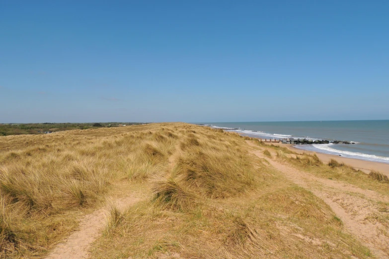 a sandy beach next to the ocean on a sunny day, by Bertram Brooker, long grass, square, roman nose, high quality image