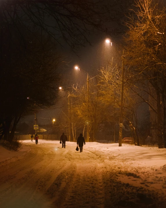 a couple of people walking down a snow covered street, by Adam Marczyński, pexels contest winner, socialist realism, mutants roaming in the evening, street lighting, in a suburb, quiet street