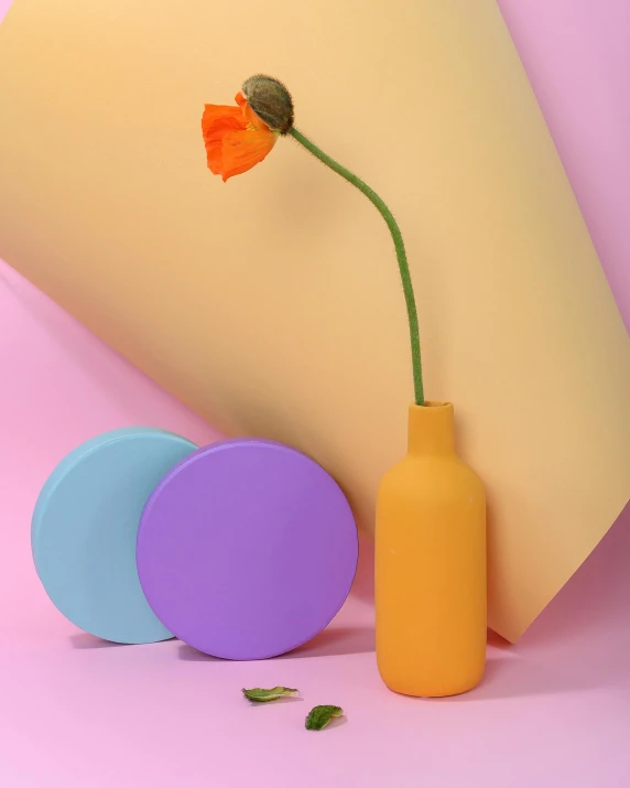 a close up of a vase with a flower in it, inspired by Robert Mapplethorpe, color field, round bottle, silicone skin, colourful pastel, product introduction photo