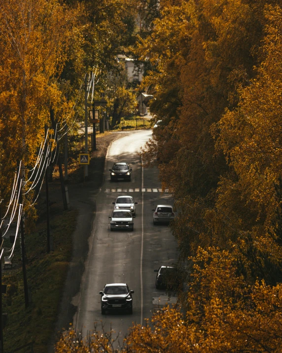 a group of cars driving down a road surrounded by trees, pexels contest winner, fall season, thumbnail, multiple stories, street of moscow