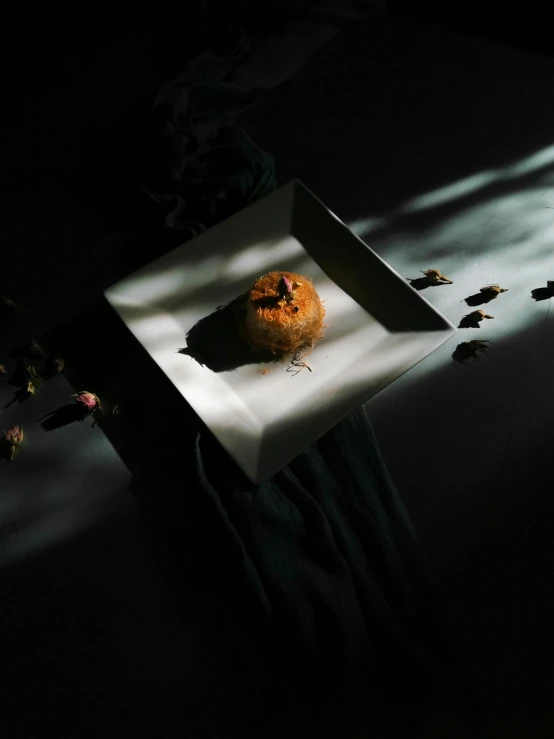 a donut sitting in a box on a table, inspired by Anna Füssli, art photography, nugget and sausage on plate, in a dark, lit. 'the cube', bird view