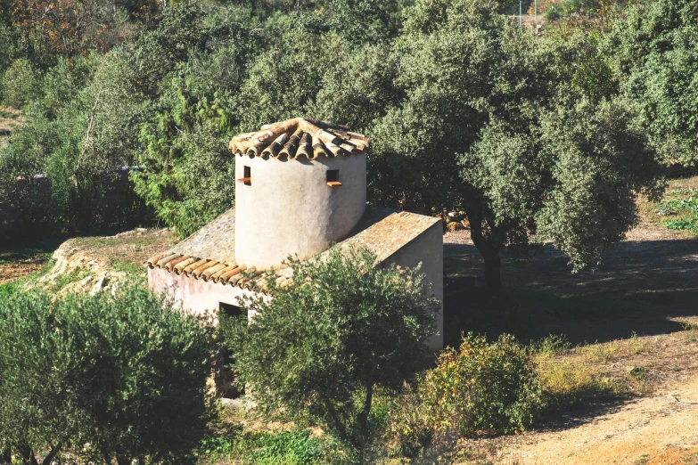 a small building sitting in the middle of a forest, inspired by Pedro Álvarez Castelló, renaissance, olive trees, shot from roofline, watertank, photo for magazine