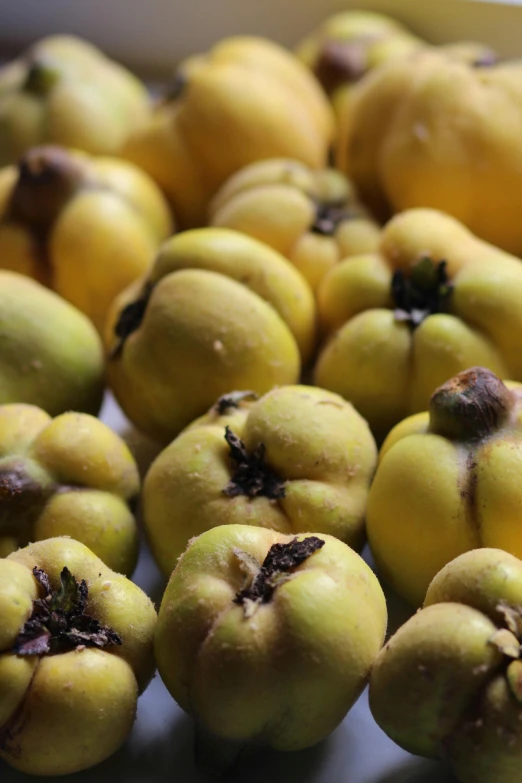 a bunch of yellow fruit sitting on top of a table, renaissance, patagonian, square, up close, mate