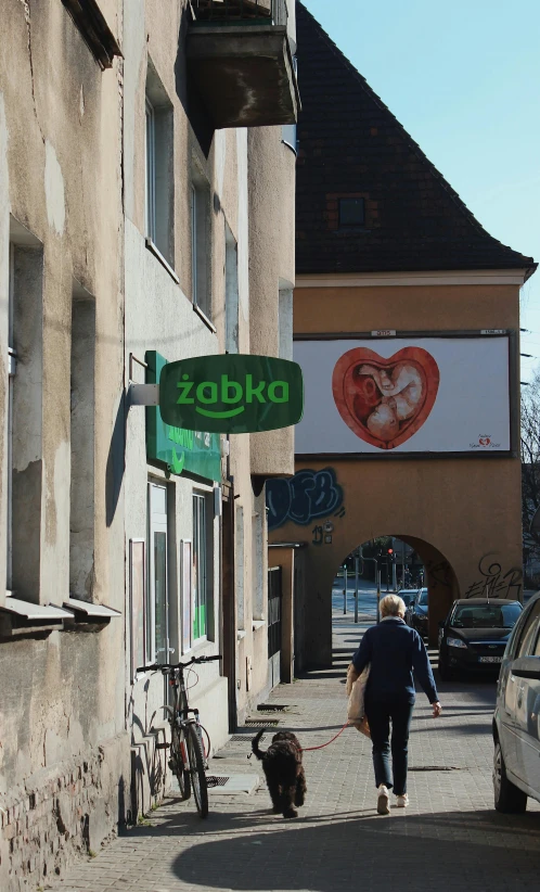 a woman walking her dog down a narrow street, a poster, by Zoltán Joó, graffiti, adult video store, baba yaga, low quality photo, heart of the internet