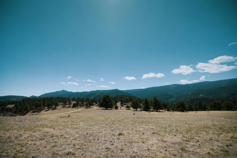 a large open field with mountains in the background, unsplash, land art, sparse pine trees, 9 0 degrees fov, bottom angle, colorado