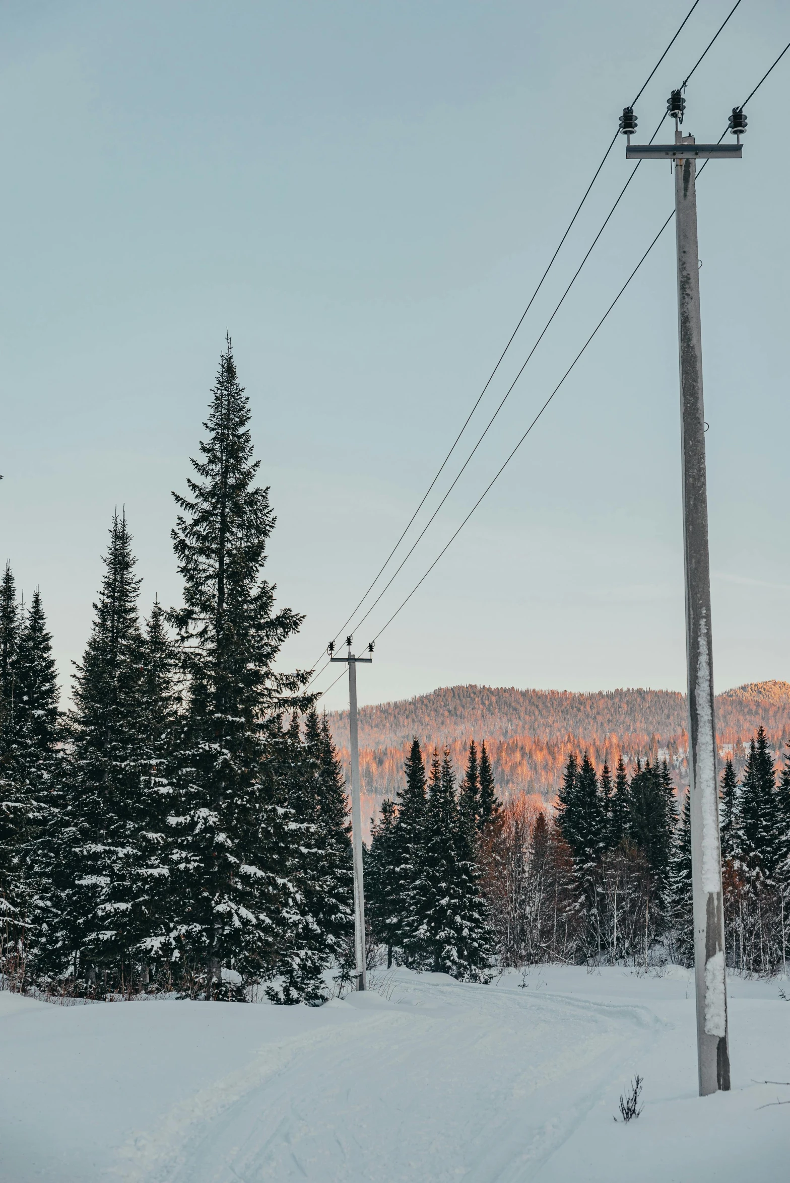 a person riding a snowboard down a snow covered slope, power lines, bright nordic forest, 🌲🌌, gold cables