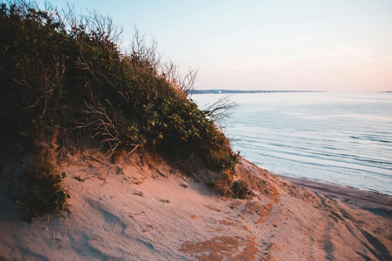 a person riding a surfboard on top of a sandy beach, unsplash, romanticism, with soft bushes, maple syrup sea, over a chalk cliff, early evening