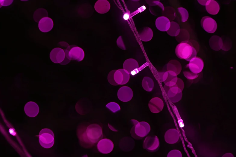 a close up of a string of lights, inspired by Bruce Munro, pexels, happening, magenta, ((purple)), boke, low detail