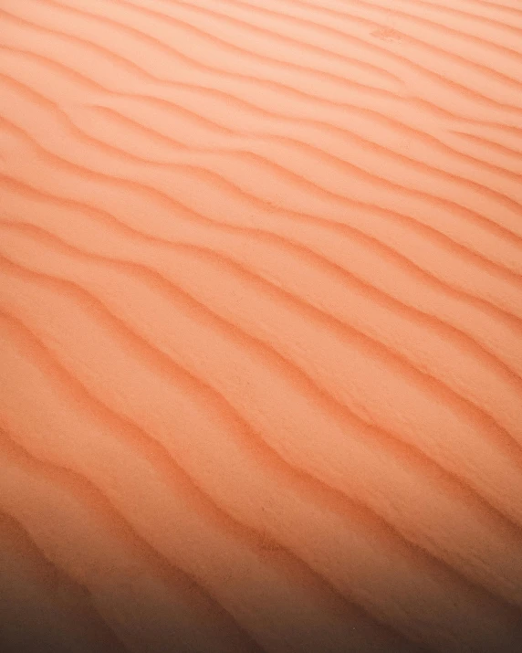 a person riding a surf board on top of a sandy beach, upclose, the desert, covered in pink flesh, /r/earthporn