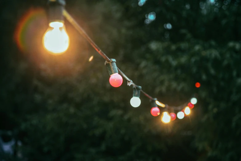 a string of lights hanging from a tree, unsplash, pink, frank moth, red and green lighting, low detail